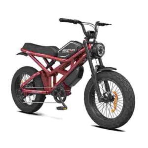 Veľkoobchodný predajca továrenských predajcov najlepších Fat Tire Ebike