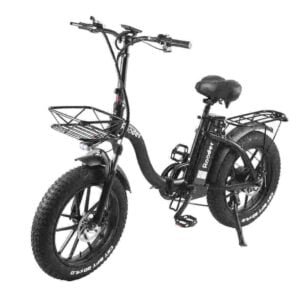 Veľkoobchodný predajca továrne dodávateľa Ebike For Heavy Man