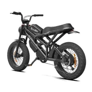Veľkoobchodný predajca továrenského dodávateľa cien elektrických bicyklov
