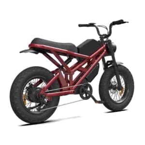 Elektrický bicykel Dirt pre dospelých na predaj veľkoobchodný predajca