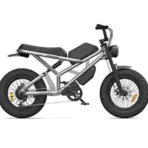 Veľkoobchodný predajca továrenských dodávateľov elektrických bicyklov Fat Tire