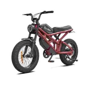 Veľkoobchodný predajca továrenských dodávateľov skladacích elektrických bicyklov pre dámy