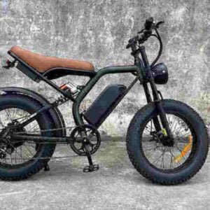 Veľkoobchodný predajca továrne dodávateľa Dirt Electric Bike