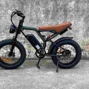 moped ebike dodávateľ továreň predajca veľkoobchod